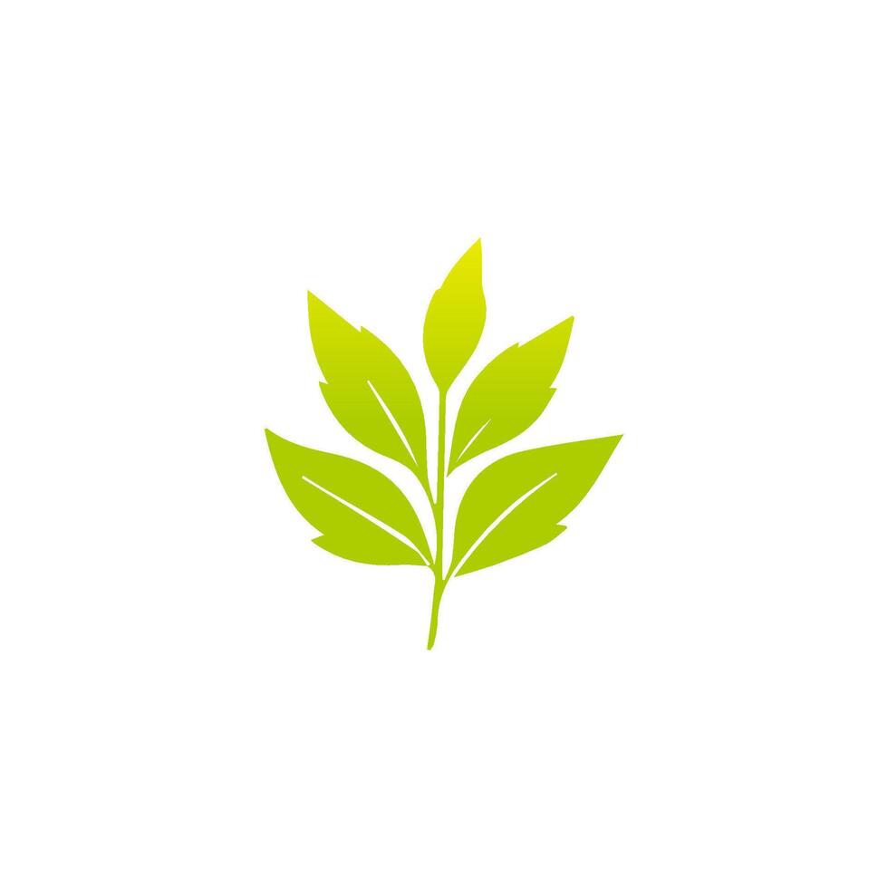 Green leaf icon, Elements design for natural, eco, vegan, bio label vector