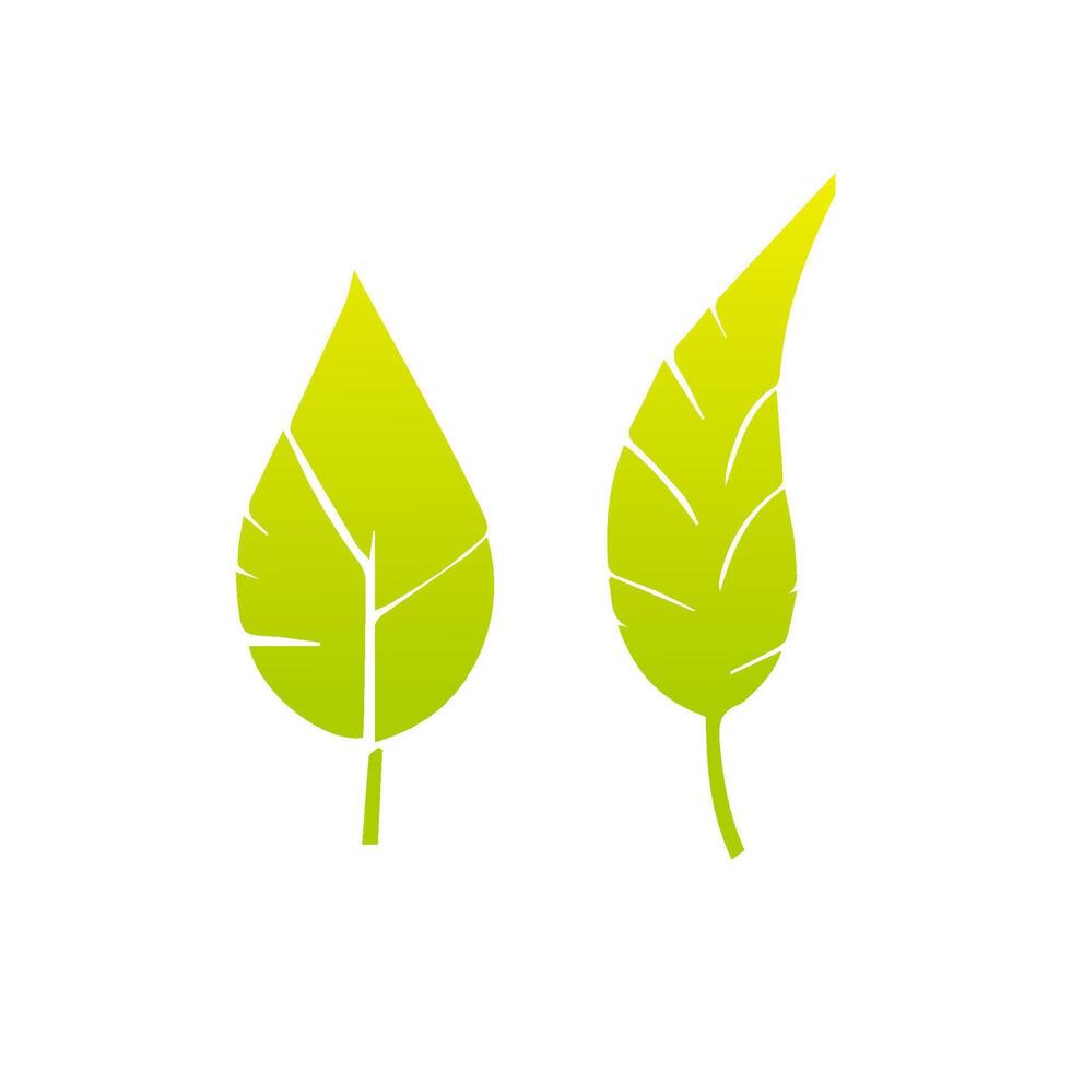 Green leaf icon, Elements design for natural, eco, vegan, bio label vector