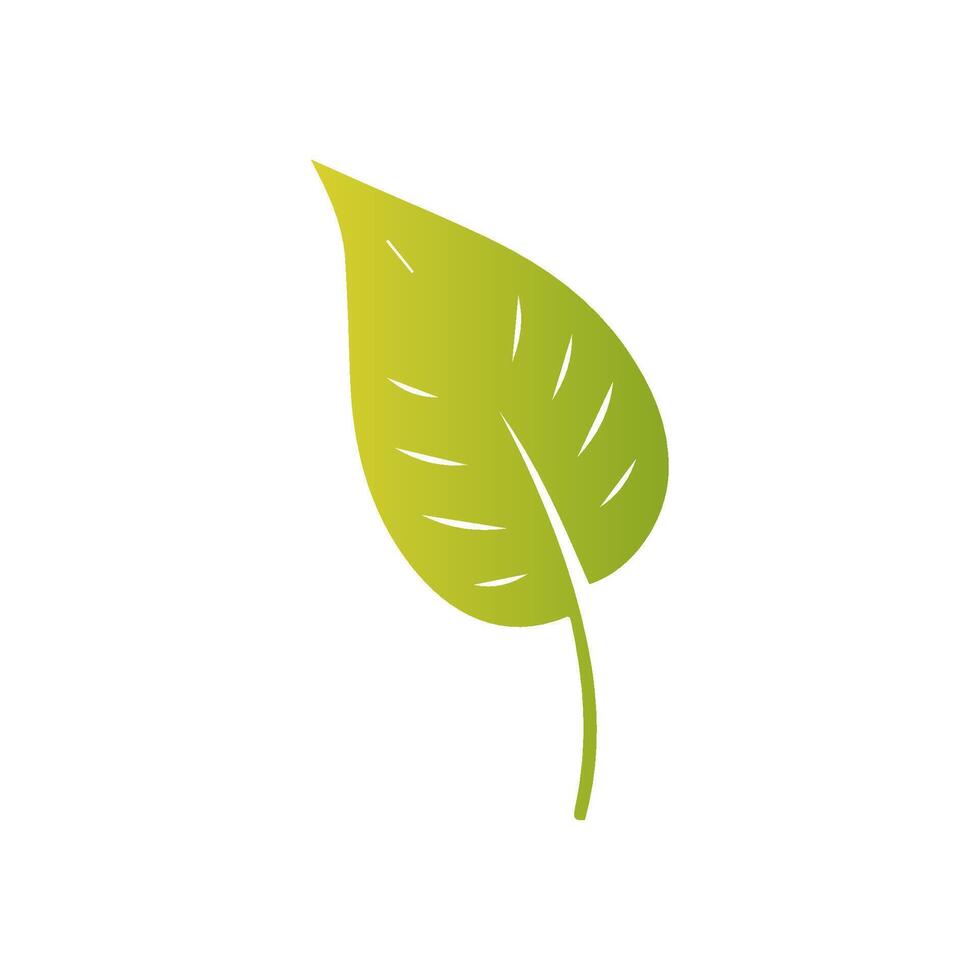 Green leaf icon, Elements design for natural, eco, vegan, bio label vector