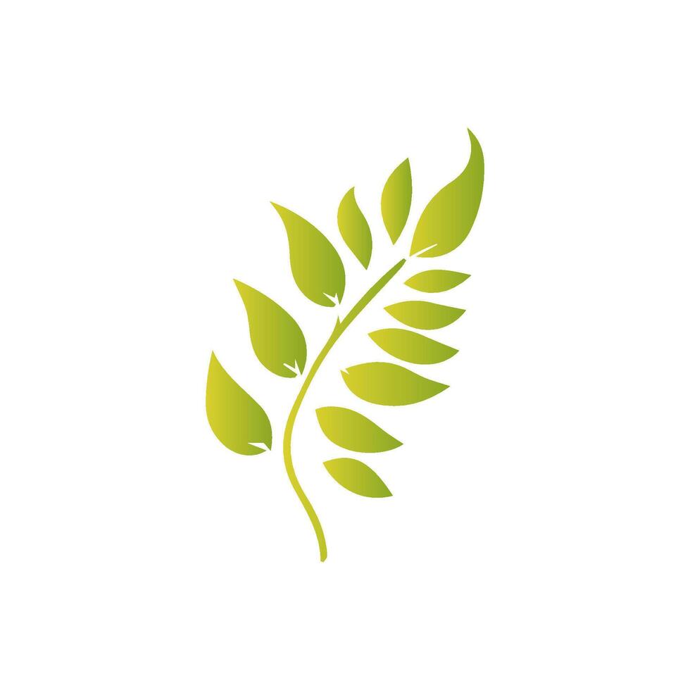 Green leaf icon, Elements design for natural, eco, vegan, bio label vector