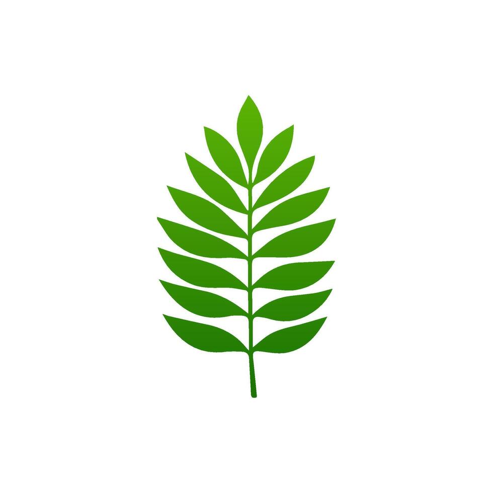 green leaf. Elements design for natural, eco, vegan, bio labels vector