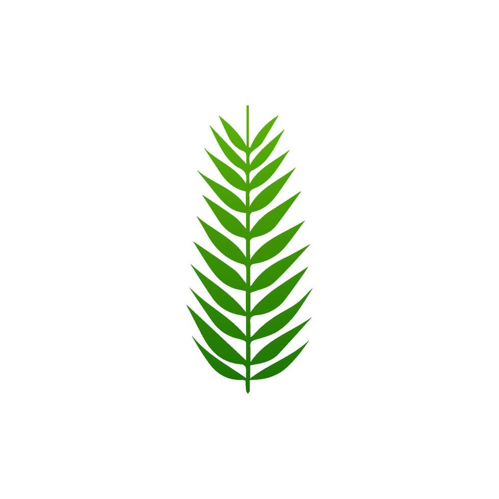 green leaf. Elements design for natural, eco, vegan, bio labels vector