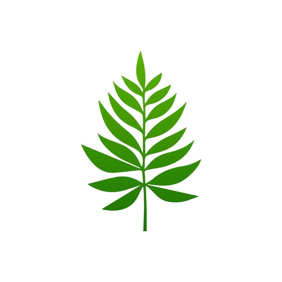 green leaf. Elements design for natural, eco, vegan, bio labels vector