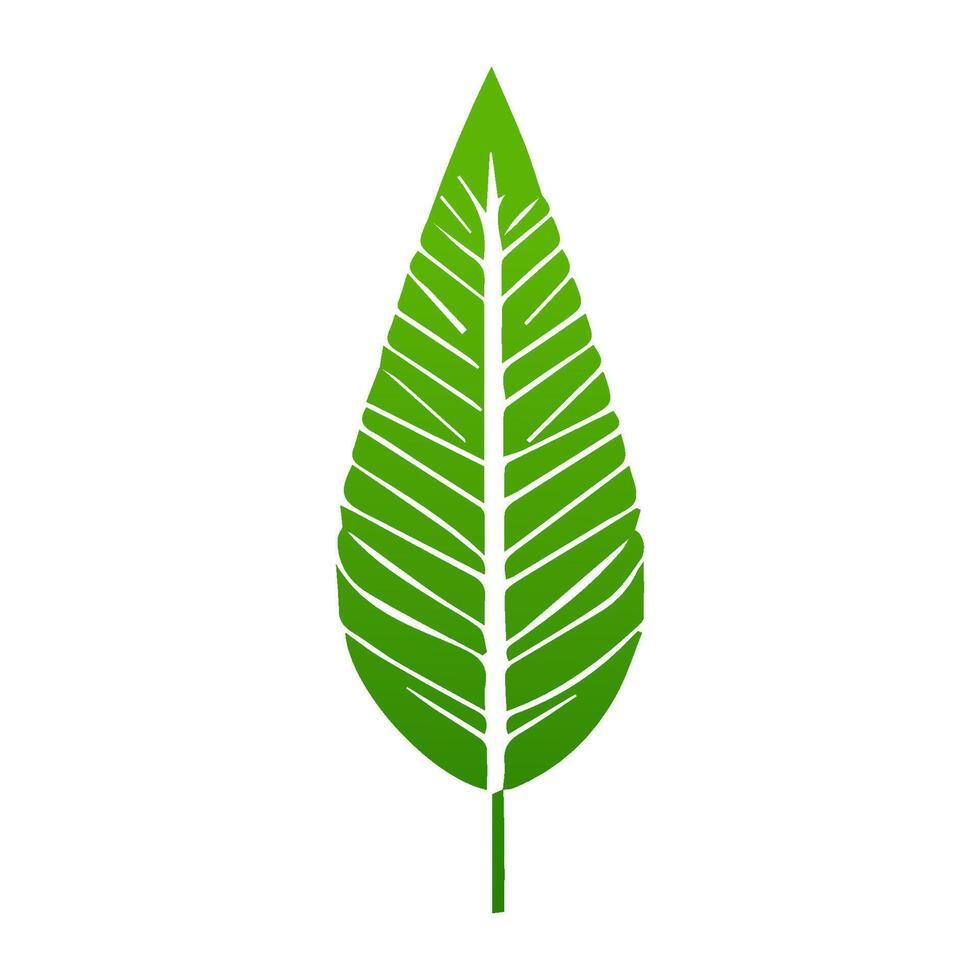 green leaf. Elements design for natural, eco, vegan, bio labels vector