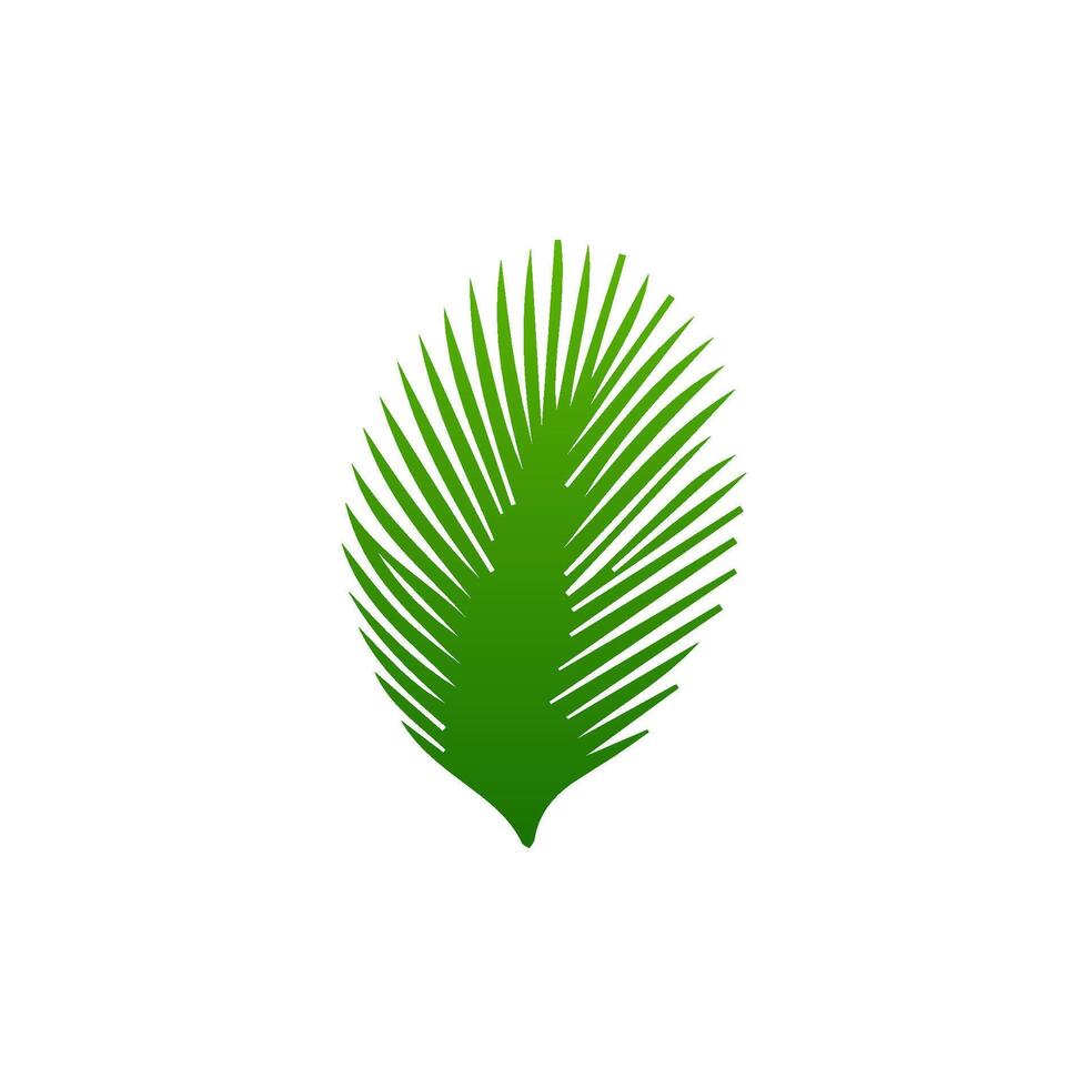 green leaf. Elements design for natural, eco, vegan, bio labels vector