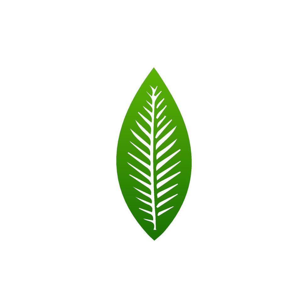 green leaf. Elements design for natural, eco, vegan, bio labels vector