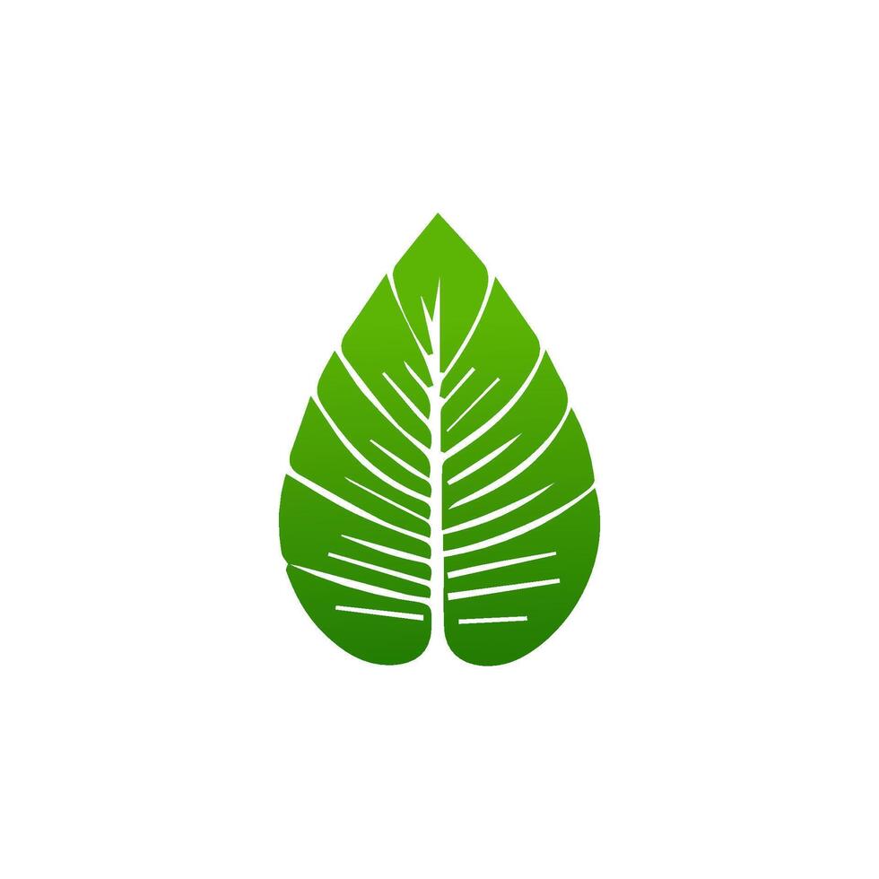 green leaf. Elements design for natural, eco, vegan, bio labels vector