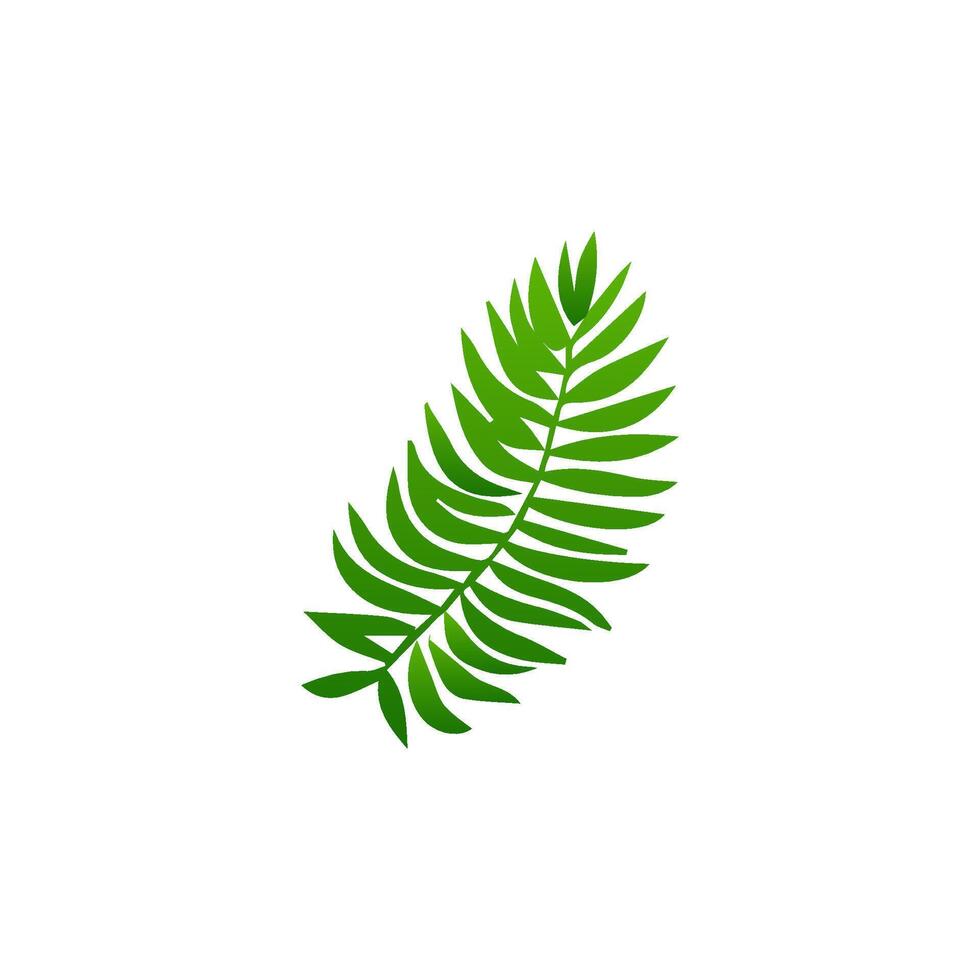 green leaf. Elements design for natural, eco, vegan, bio labels vector