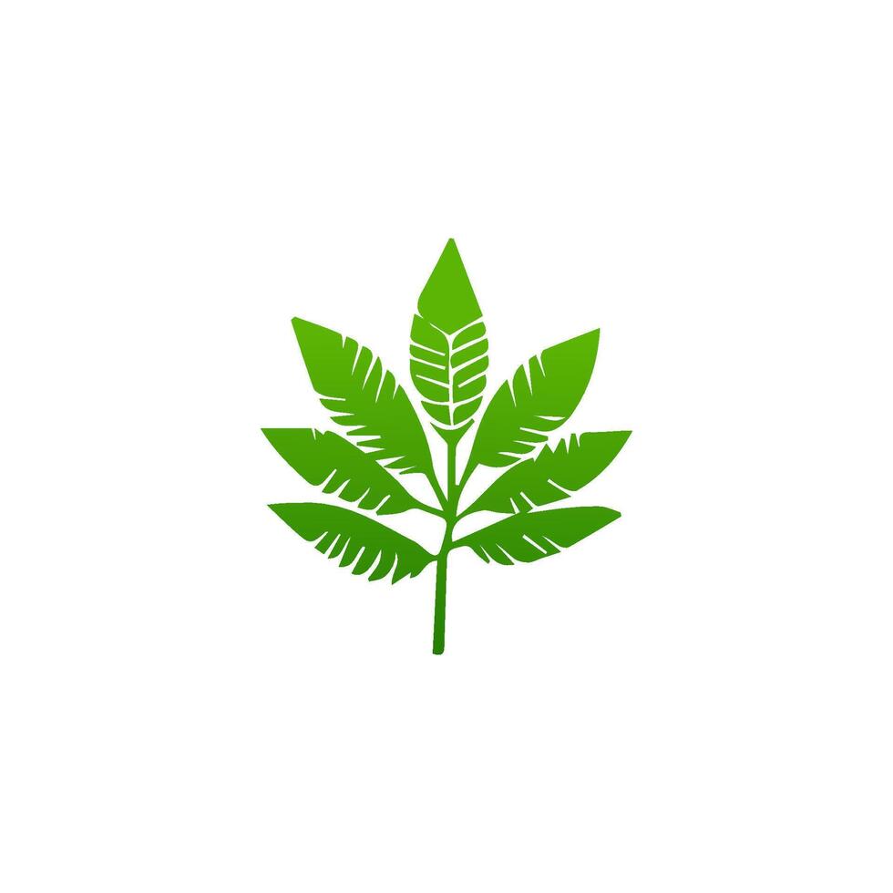 green leaf. Elements design for natural, eco, vegan, bio labels vector