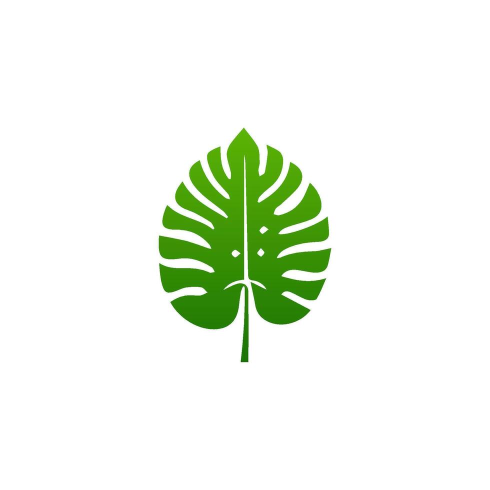 green leaf. Elements design for natural, eco, vegan, bio labels vector