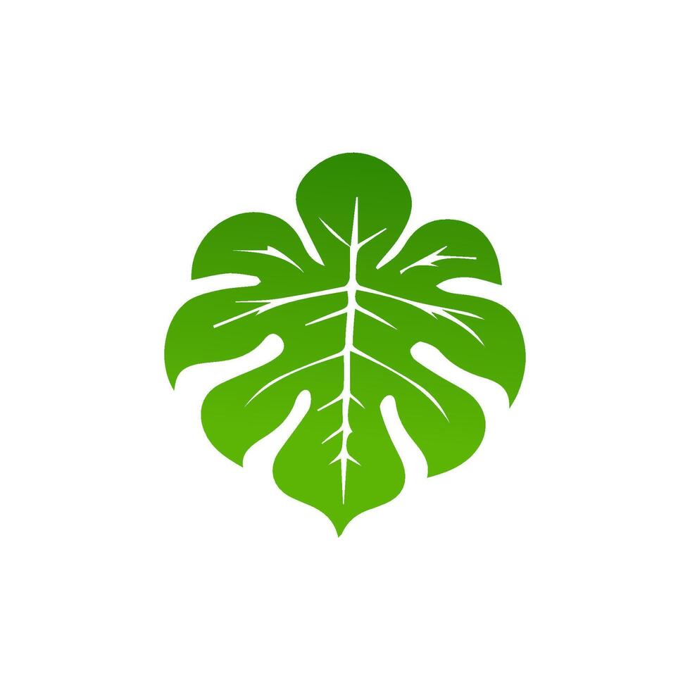green leaf. Elements design for natural, eco, vegan, bio labels vector