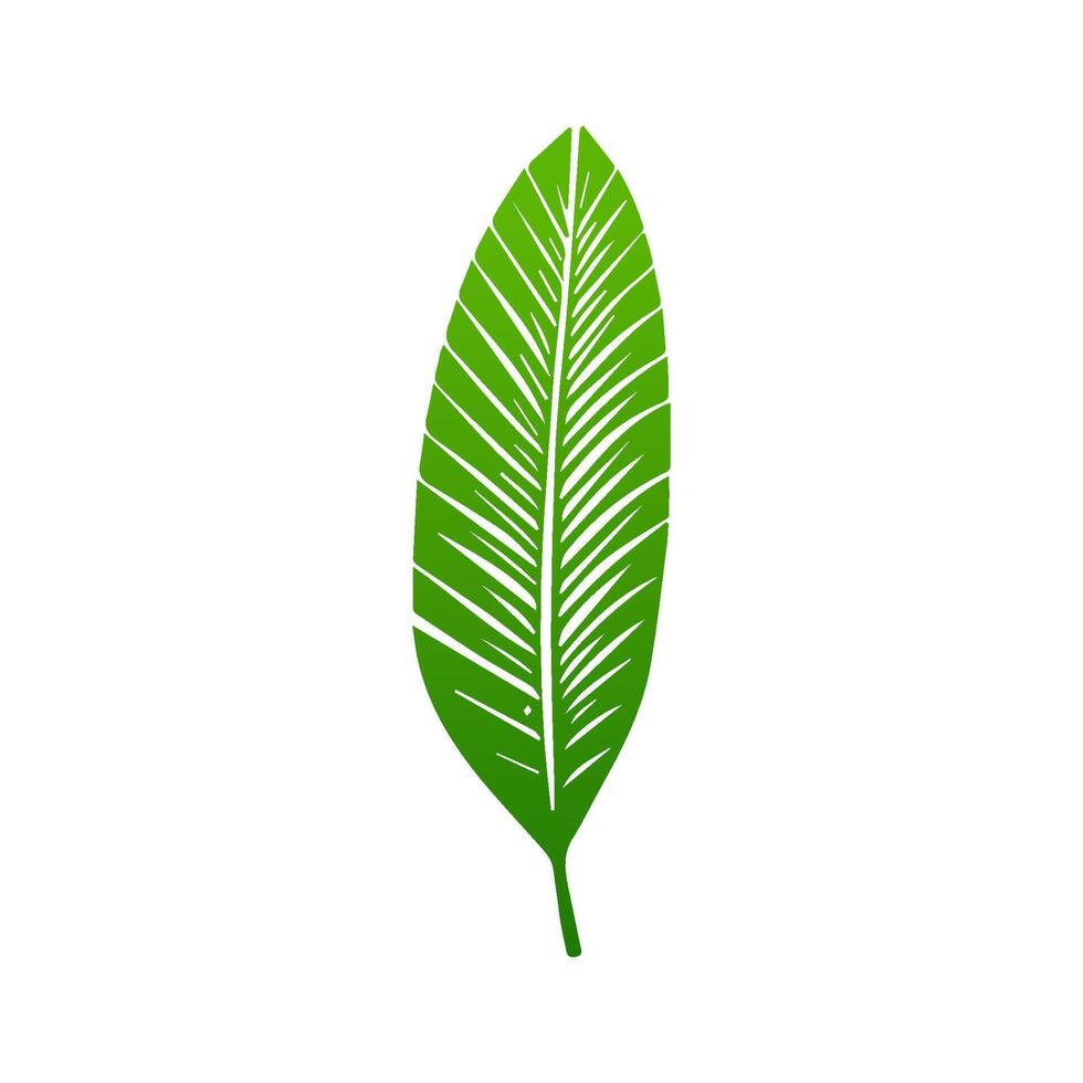 green leaf. Elements design for natural, eco, vegan, bio labels vector