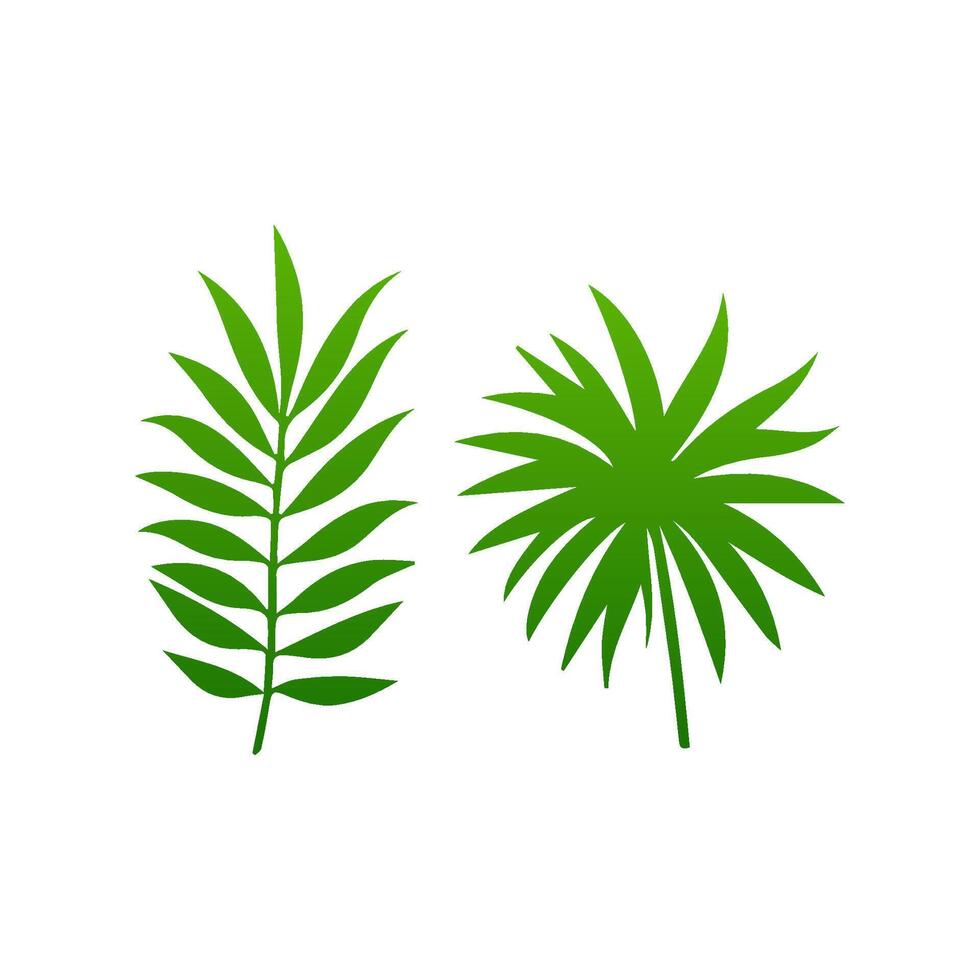 green leaf. Elements design for natural, eco, vegan, bio labels vector