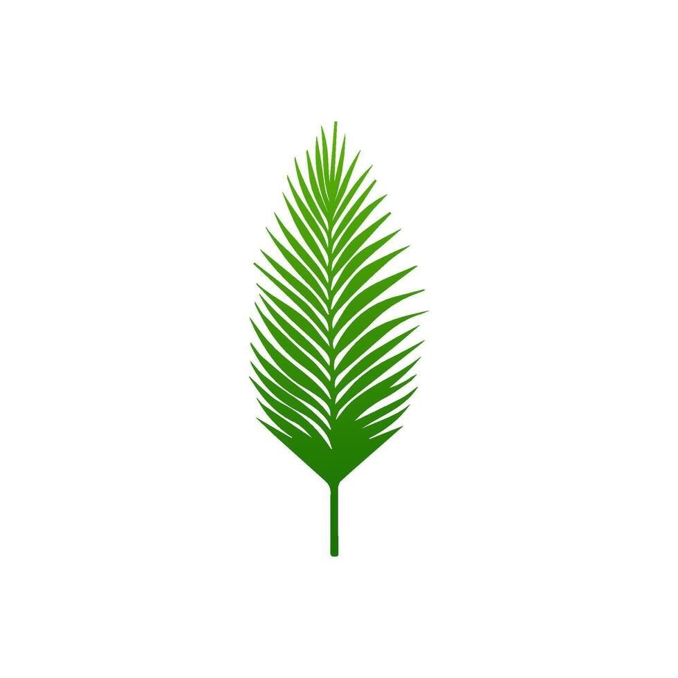 green leaf. Elements design for natural, eco, vegan, bio labels vector