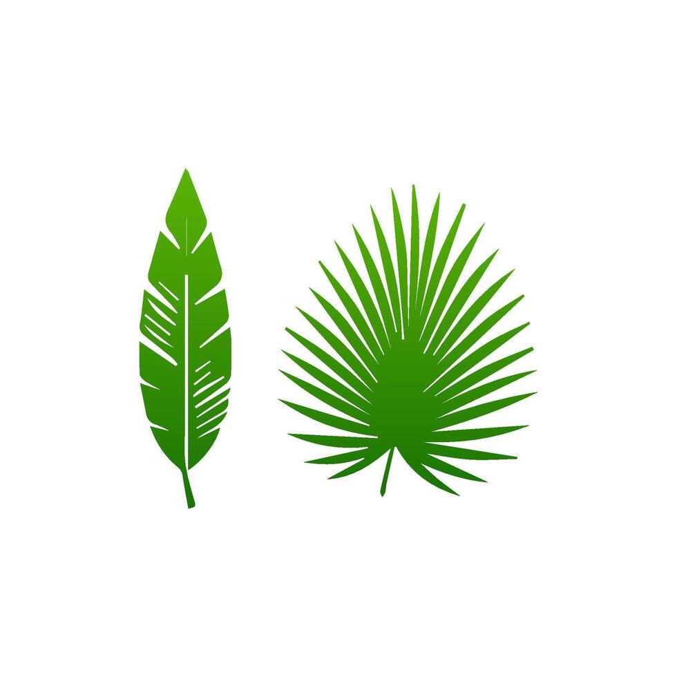 green leaf. Elements design for natural, eco, vegan, bio labels vector