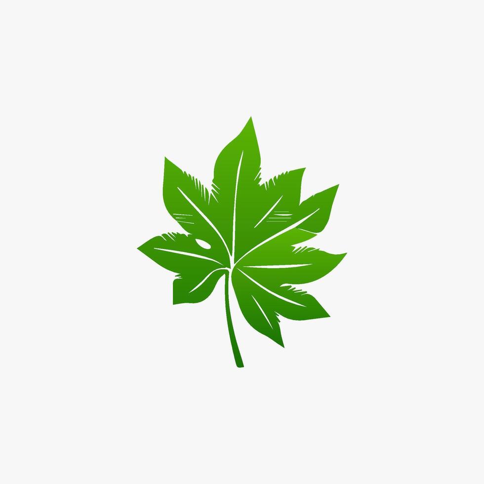 green leaf. Elements design for natural, eco, vegan, bio labels vector