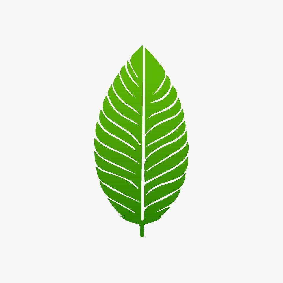 green leaf. Elements design for natural, eco, vegan, bio labels vector