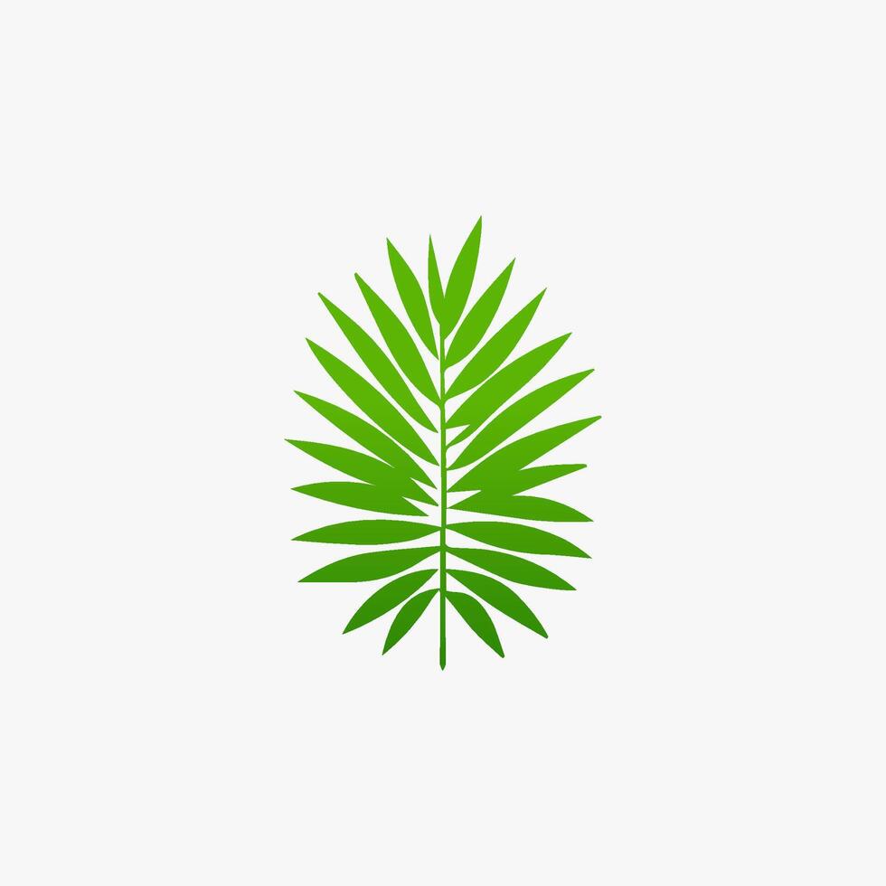 green leaf. Elements design for natural, eco, vegan, bio labels vector