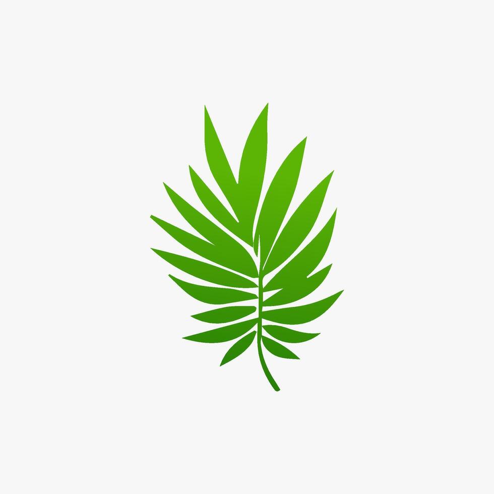 green leaf. Elements design for natural, eco, vegan, bio labels vector