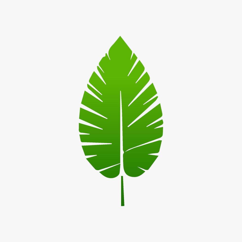 green leaf. Elements design for natural, eco, vegan, bio labels vector