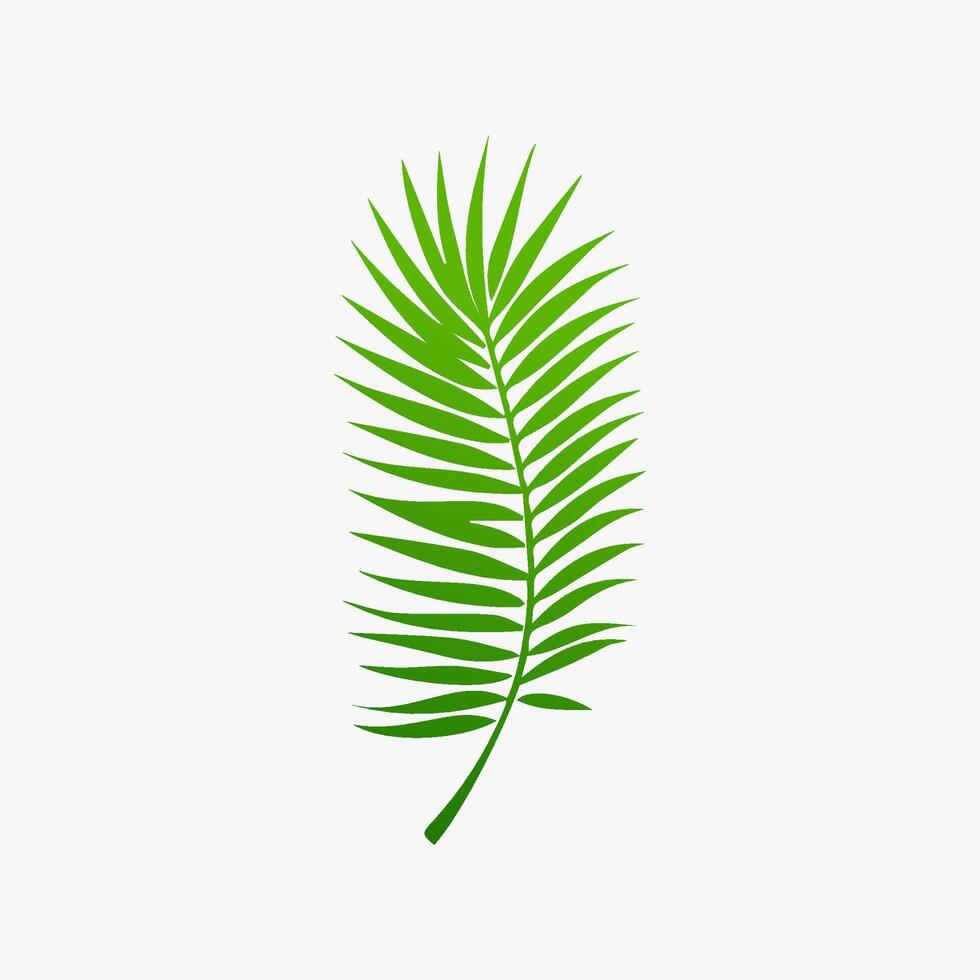 green leaf. Elements design for natural, eco, vegan, bio labels vector