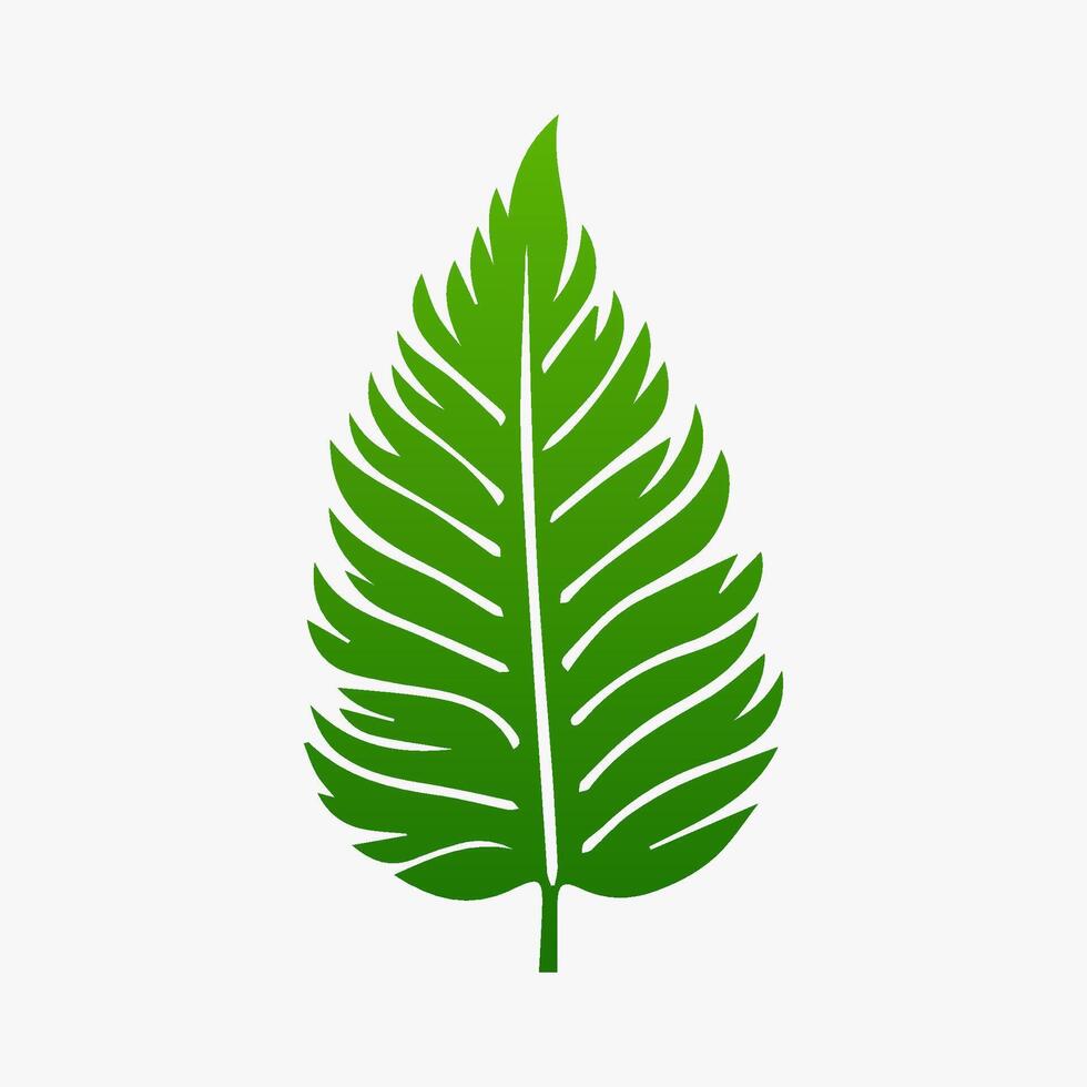 green leaf. Elements design for natural, eco, vegan, bio labels vector