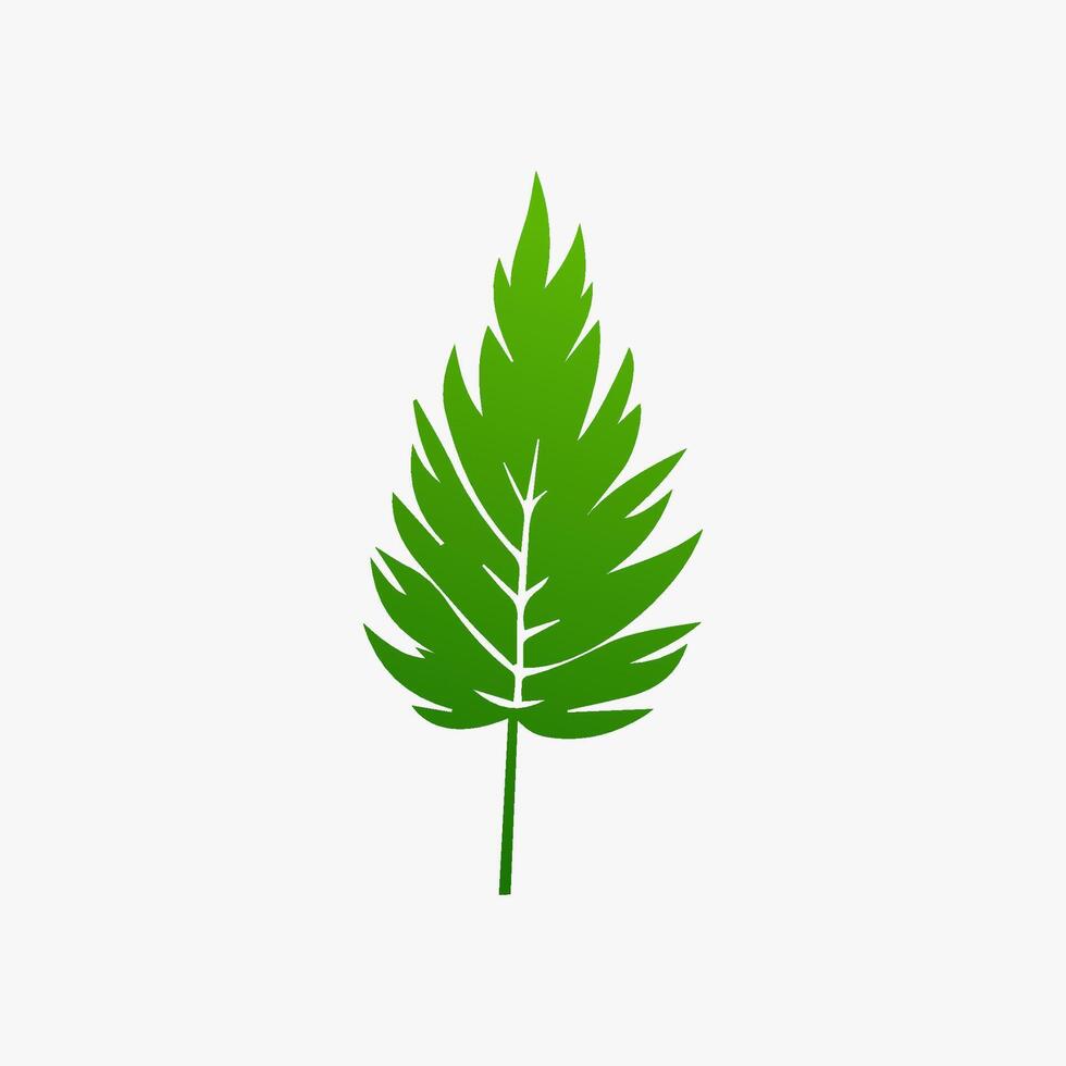 green leaf. Elements design for natural, eco, vegan, bio labels vector