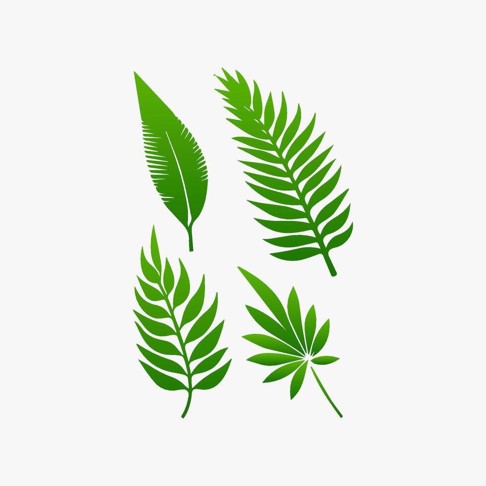 green leaf. Elements design for natural, eco, vegan, bio labels vector