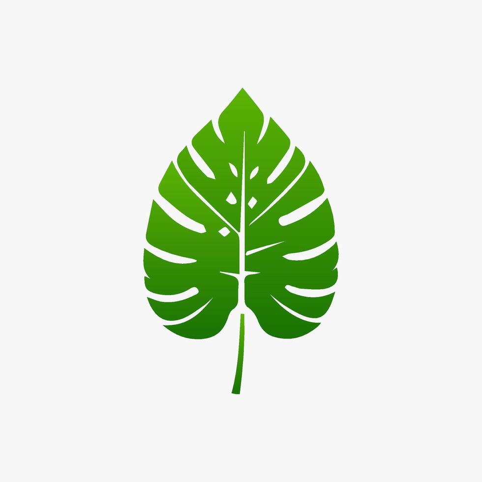 green leaf. Elements design for natural, eco, vegan, bio labels vector