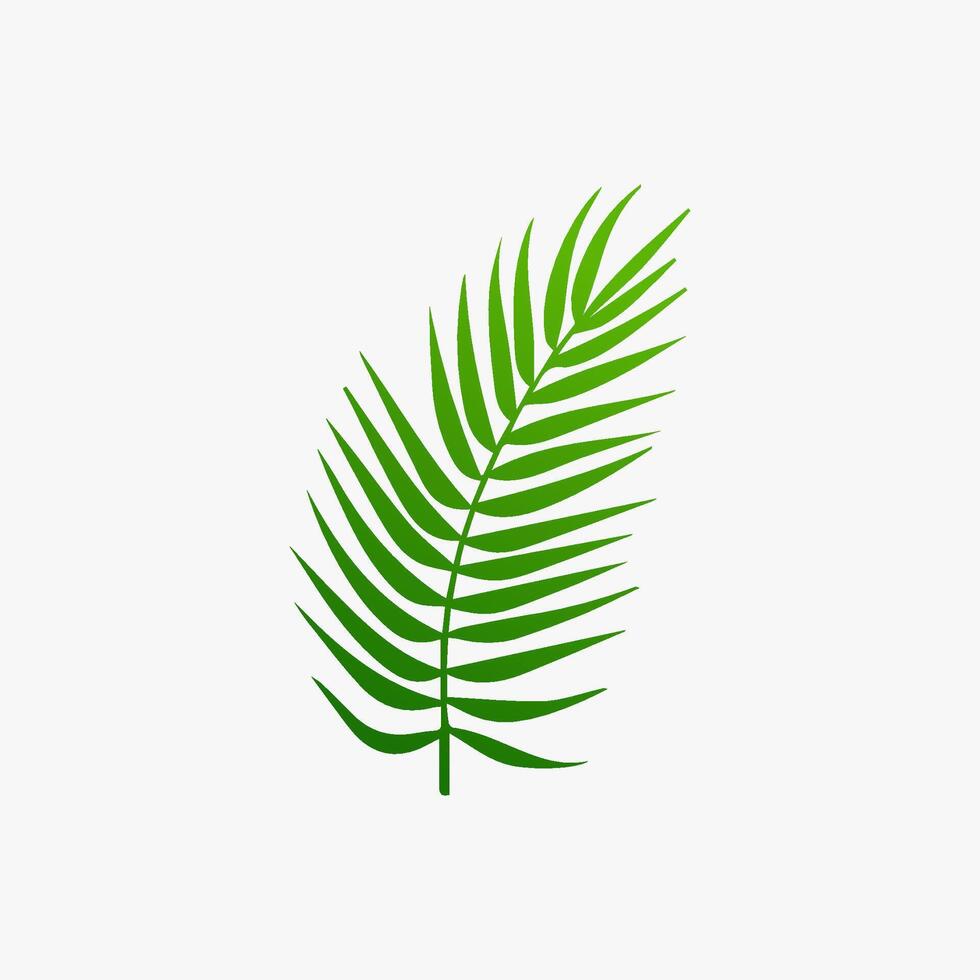 green leaf. Elements design for natural, eco, vegan, bio labels vector