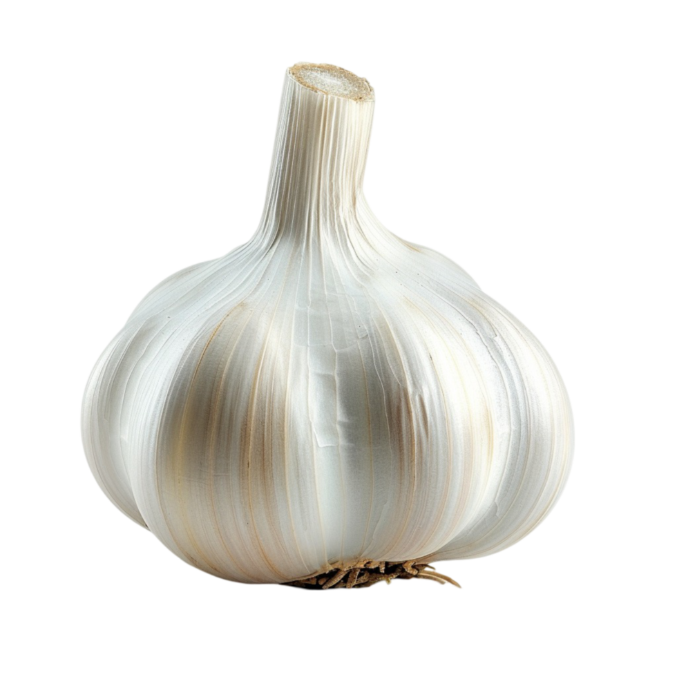 a garlic bulb png