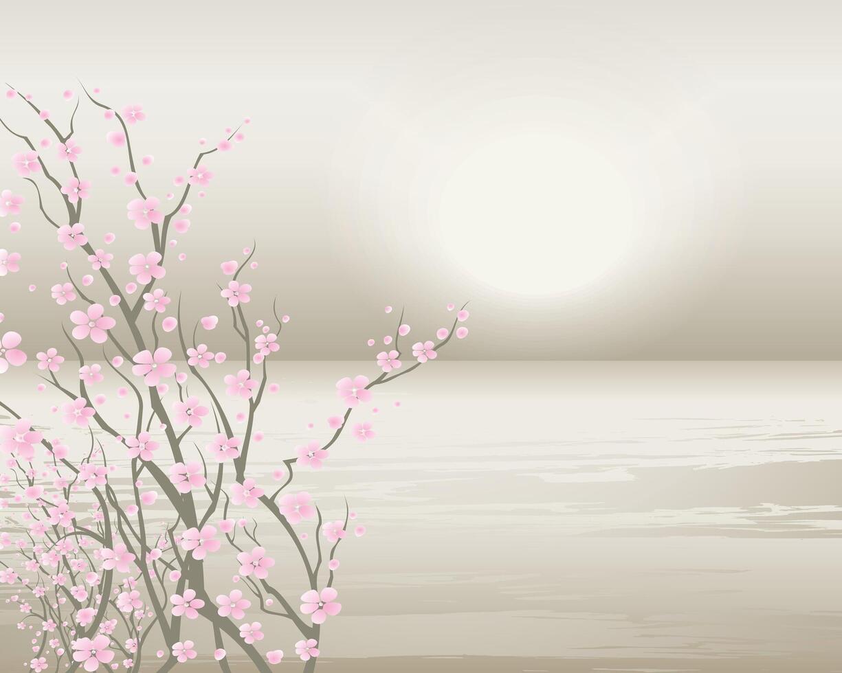 Sakura on white gray background Cherry blossom flower blooming vector