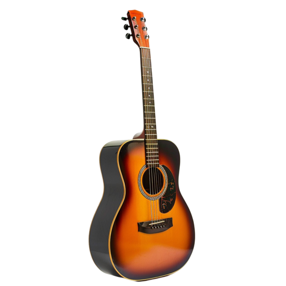 Famous Guitarists image png