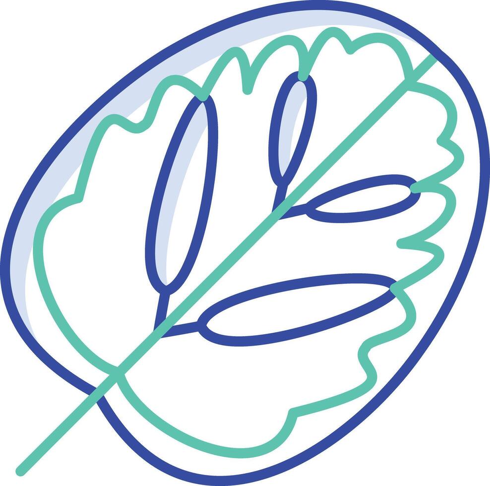 Calathea Leaf outline color illustration vector