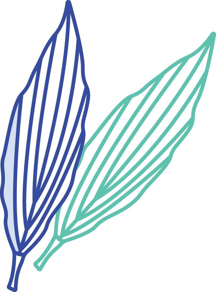 Aspidistra Leaf outline color illustration vector