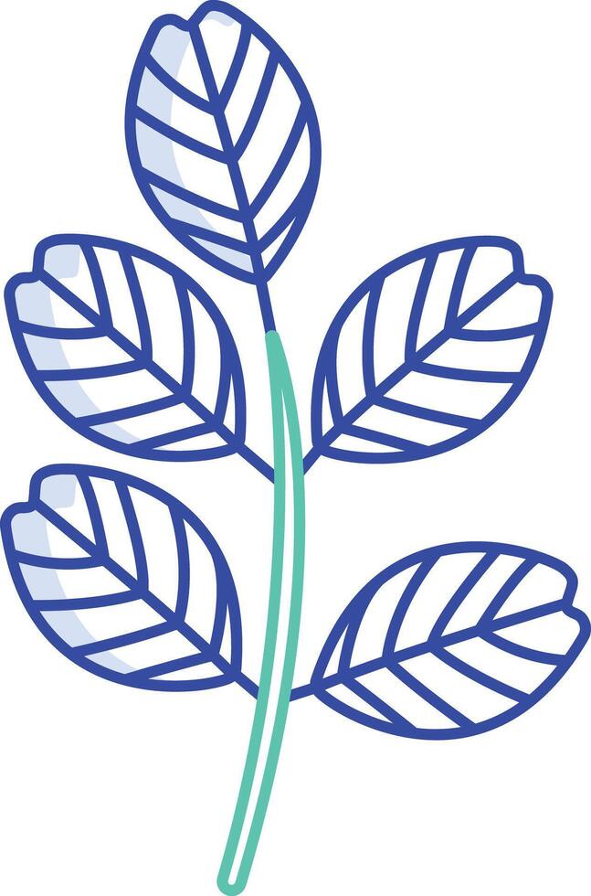black locust Leaf outline color illustration vector