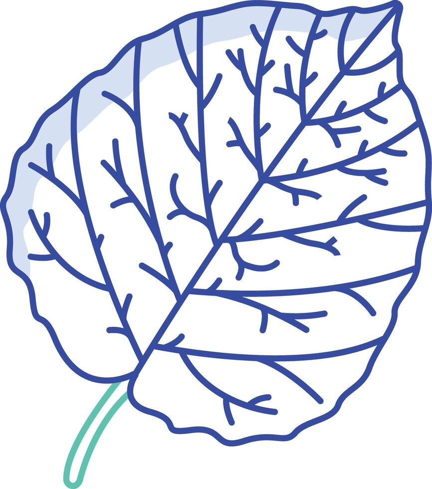 Aspen Leaf outline color illustration vector