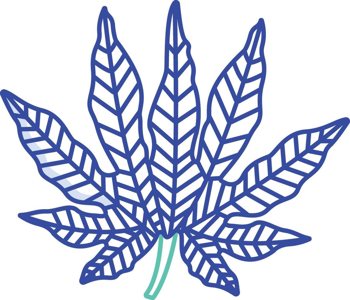 Aralia Leaf outline color illustration vector