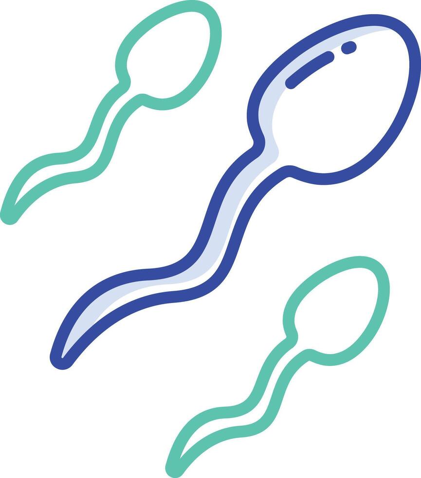 Sperms outline color illustration vector