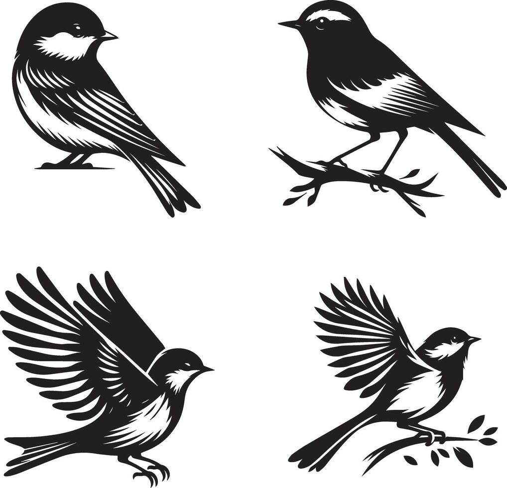 four black and white birds on a branch vector