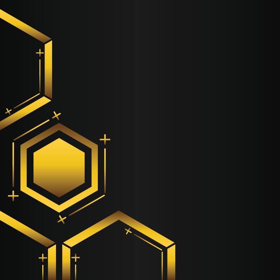 golden hexagon frame corner decoration on black background vector
