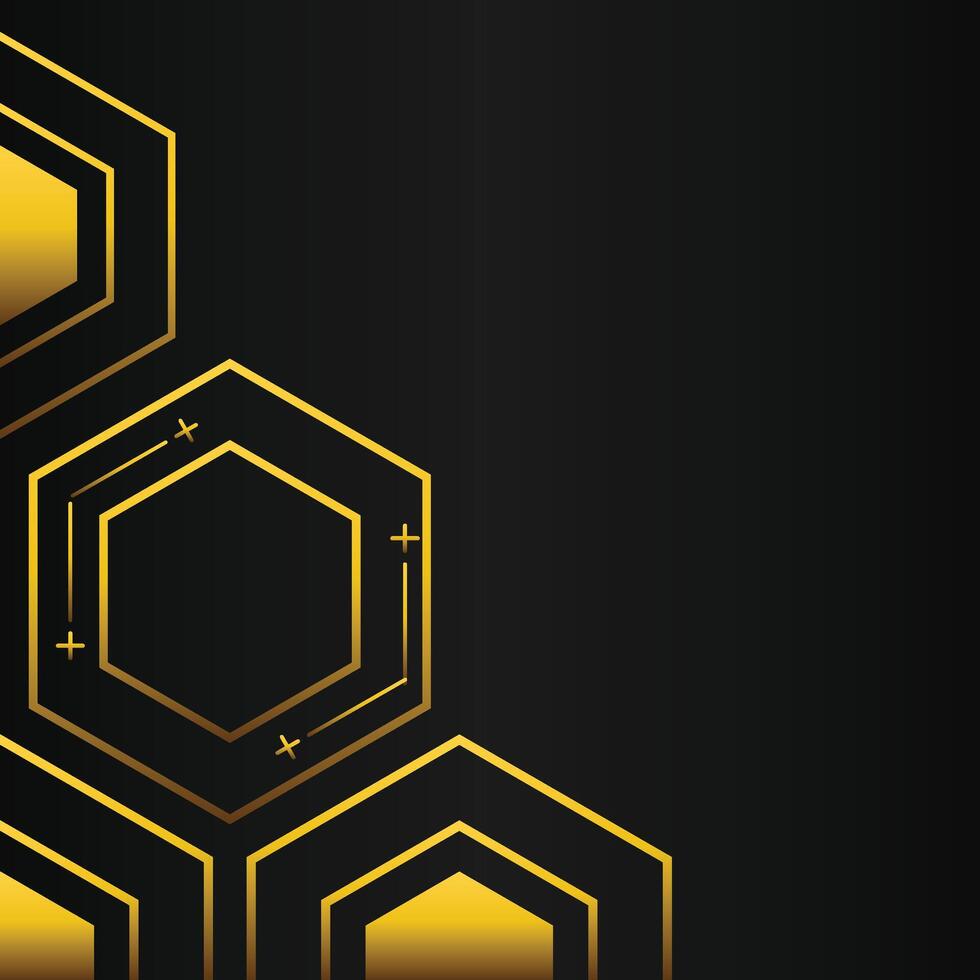 golden hexagon frame corner decoration on black background vector