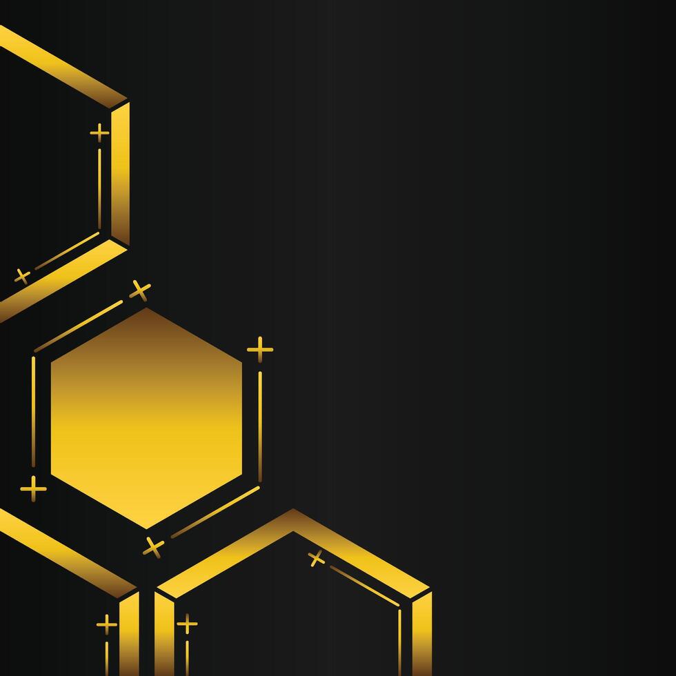 golden hexagon frame corner decoration on black background vector