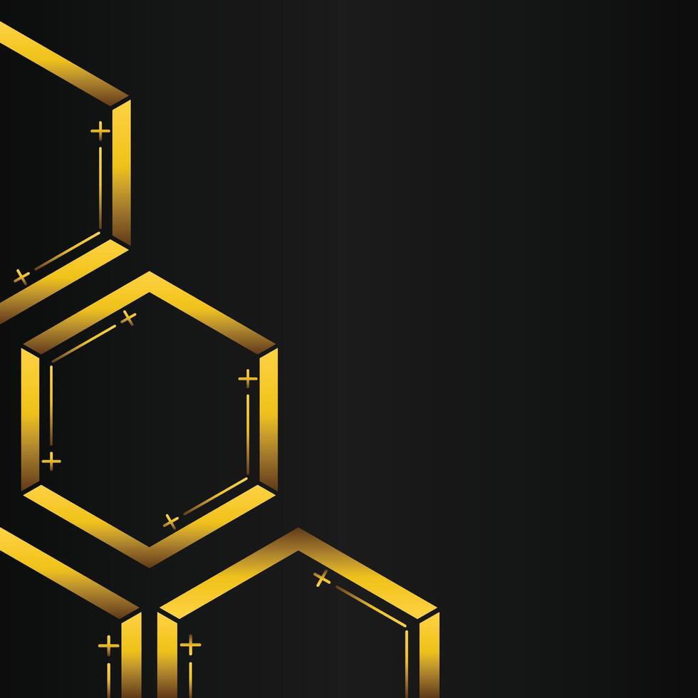golden hexagon frame corner decoration on black background vector