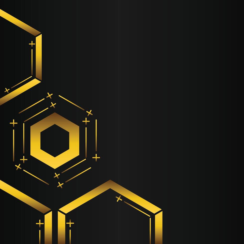 golden hexagon frame corner decoration on black background vector
