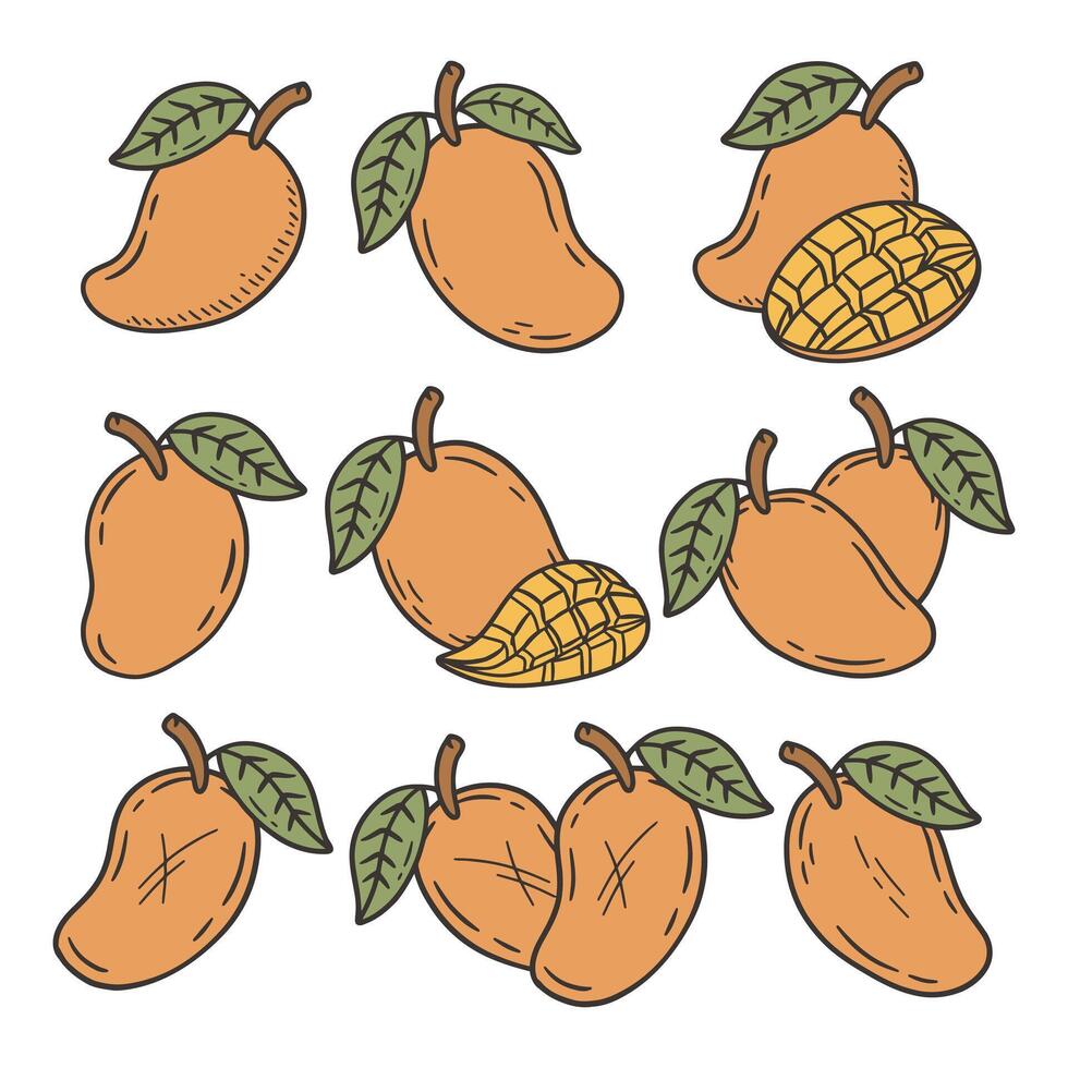 Cute Mango Fruit Cartoon Doodle Style Illustration vector