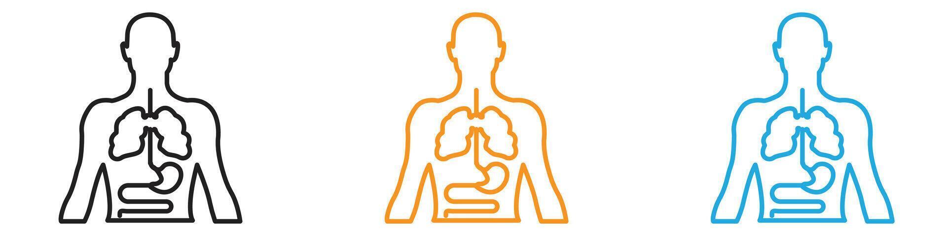 human body anatomy icon logo set collection for web app ui vector