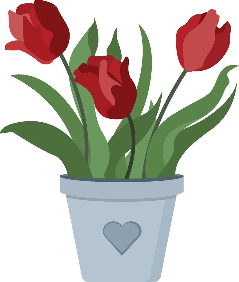Bouquet of red tulips flowers in a pot. Spring illustration for your design and greetings, postcards card for your loved ones vector