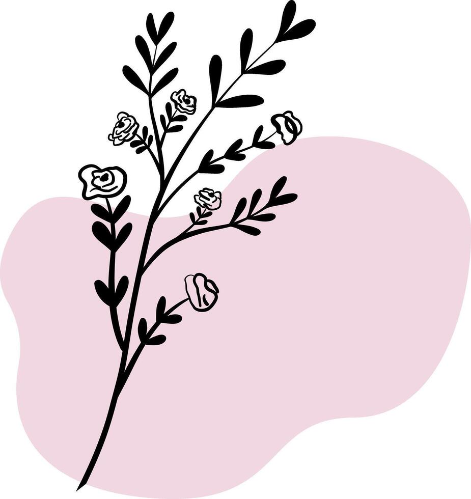 Hand drawn floral, botanical element on colour background shape for design. Instagram story icons vector