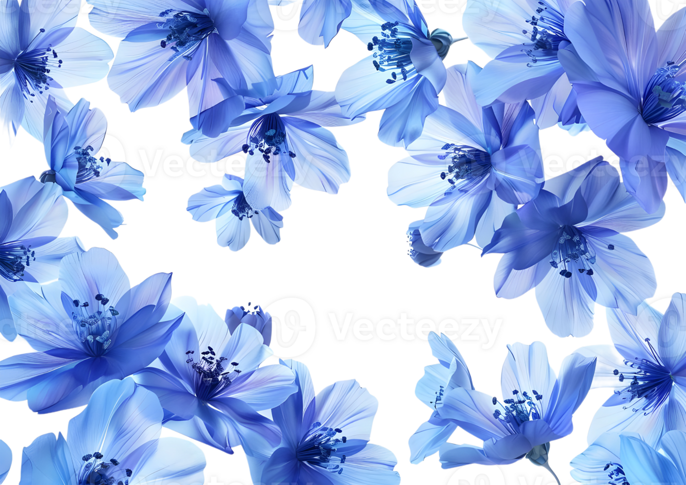 Blue flowers in full bloom, creating a serene and vibrant display. Isolated on a transparent background png